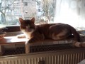 20180205_120000