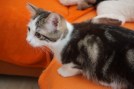 Benny im Februar 2019