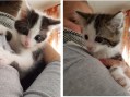 Orion (r) und Benny (l) im Alter von 3 Monaten Anfang Dezember 2018