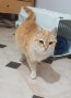 Princesita
