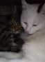 Minnie und Fussel