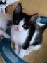 Billy2