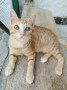 Felina 30.08.2022