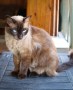 IMG-20250727-WA0015