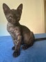 MandyKater1