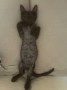 MandyKater2