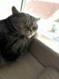 charlie_02-_6a0321224f710