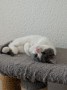 img-20260706-wa0019_6a4cd6f8d8f2c