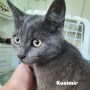 kasimir_68b16d2163b7e