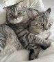 Milo und Lenny
