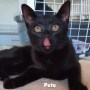 pete_68b16d2163f38